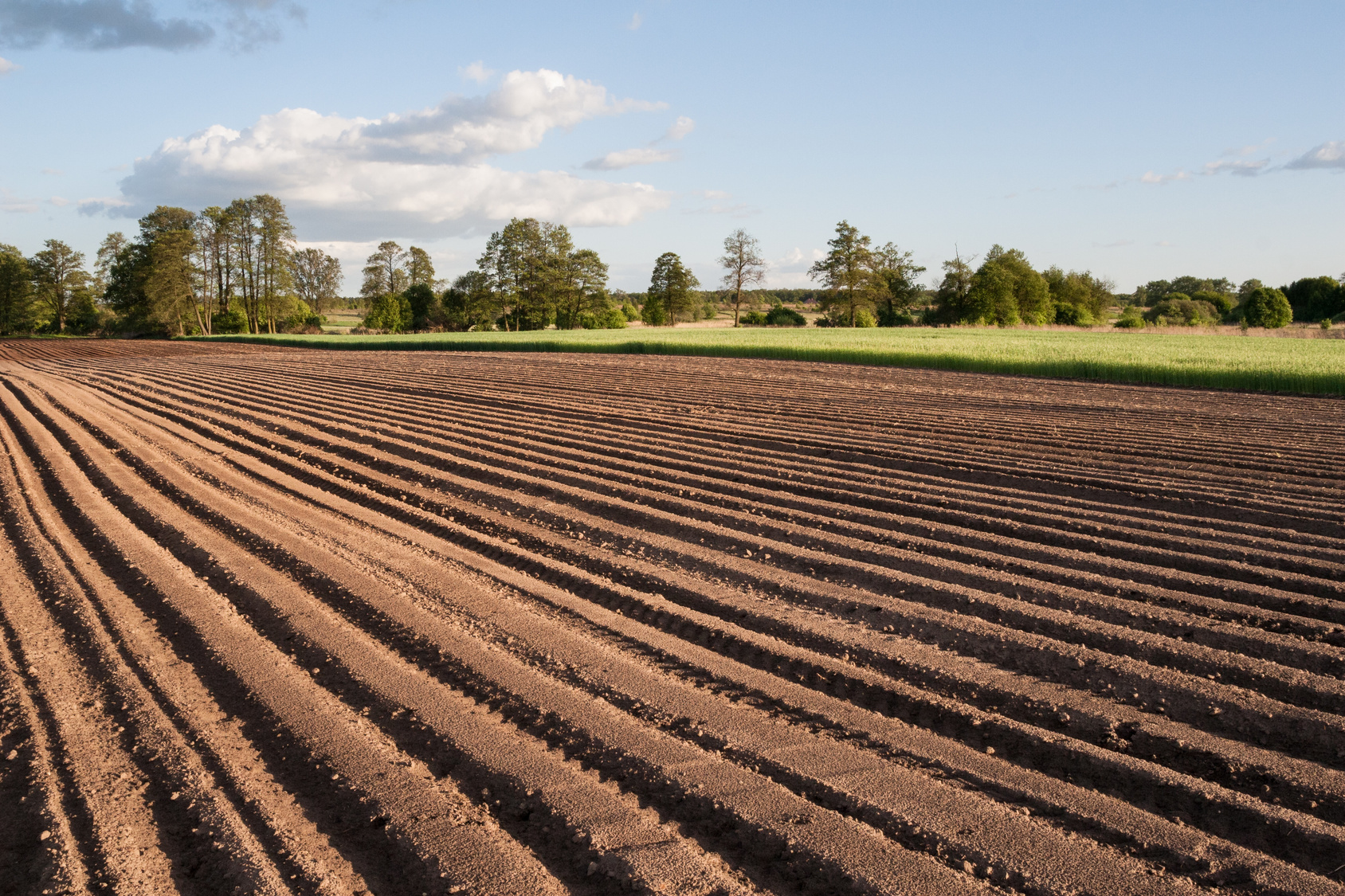 Классы оценки почвы в Польше   В нашей системе бонитации есть 9 классов для пахотных почв и 6 классов для почв под постоянными лугами (включая ботанический состав и средний урожай сена)